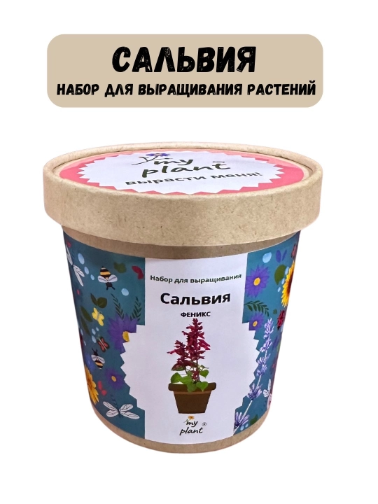O'simliklarni etishtirish to'plami Happy Plants-Vyrasti sam tsvety - 