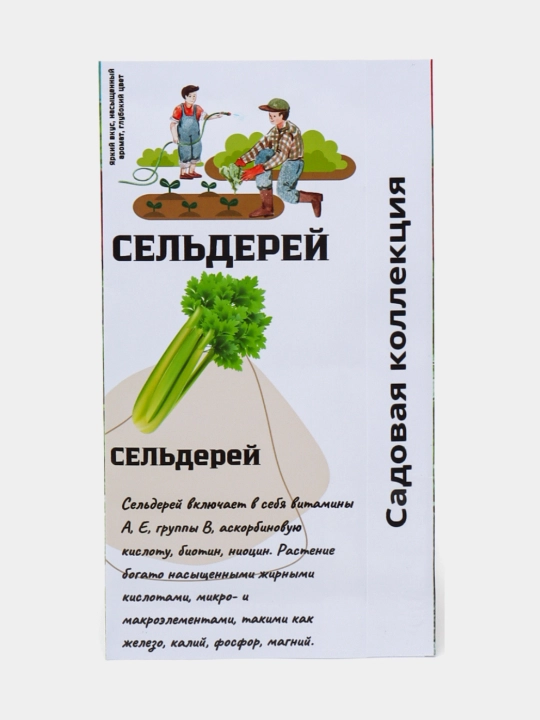Семена сельдерея