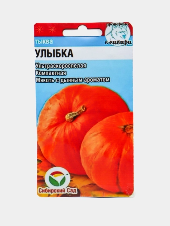Qovoq urug‘i