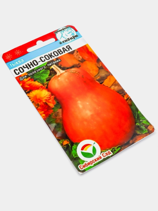 Qovoq urug‘i
