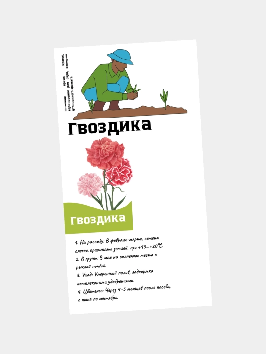 Семена цветов Кореопсис, Портулак, Ромашка, Астра, Вербена, Гвоздика, Георгина, Цинния