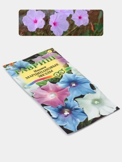 Хаки