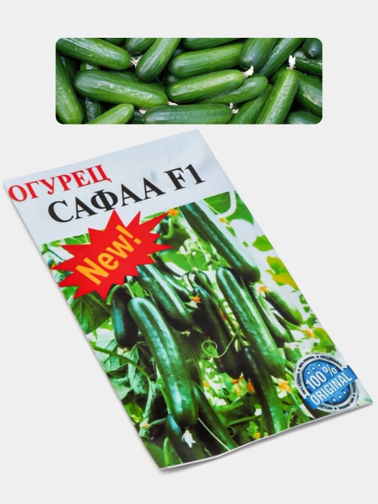 Семена овощей для сада и огорода: огурцы, помидоры, редис, кинза, щавель