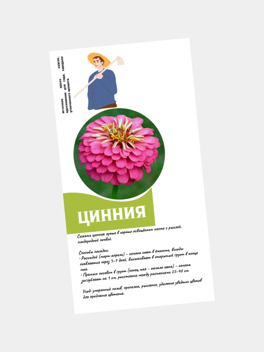 Семена цветов Цинния, Портулак, Гвоздика, Клеома, Георгина. Сальвия, семя