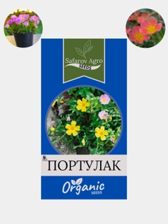 Белый