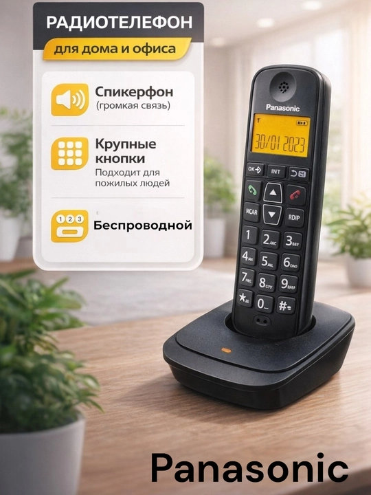 Проводной радиотелефон для дома Panasonic KX-TG6815 - 
