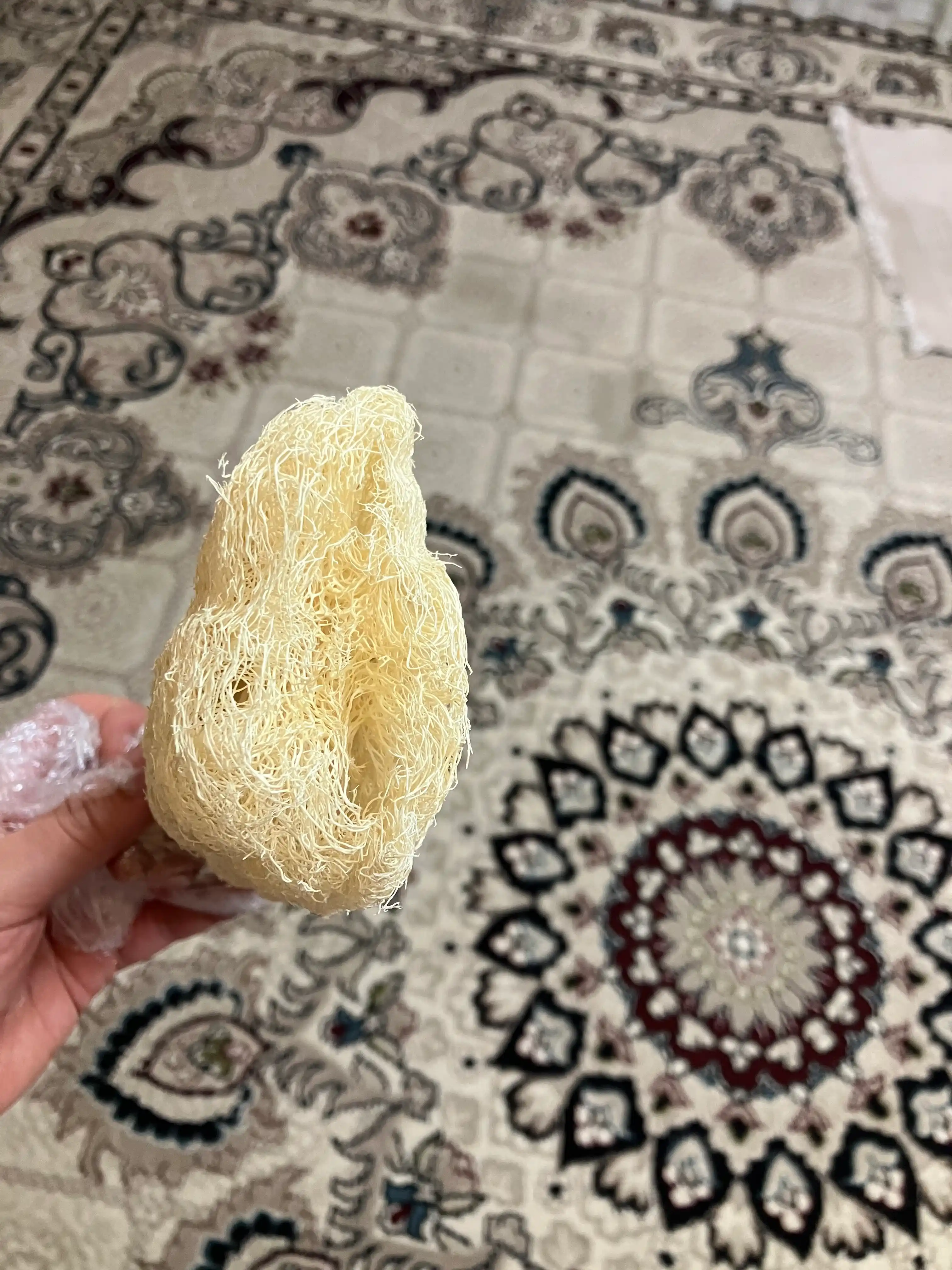 Tabiiy mochalka lyufdan (Luffa)