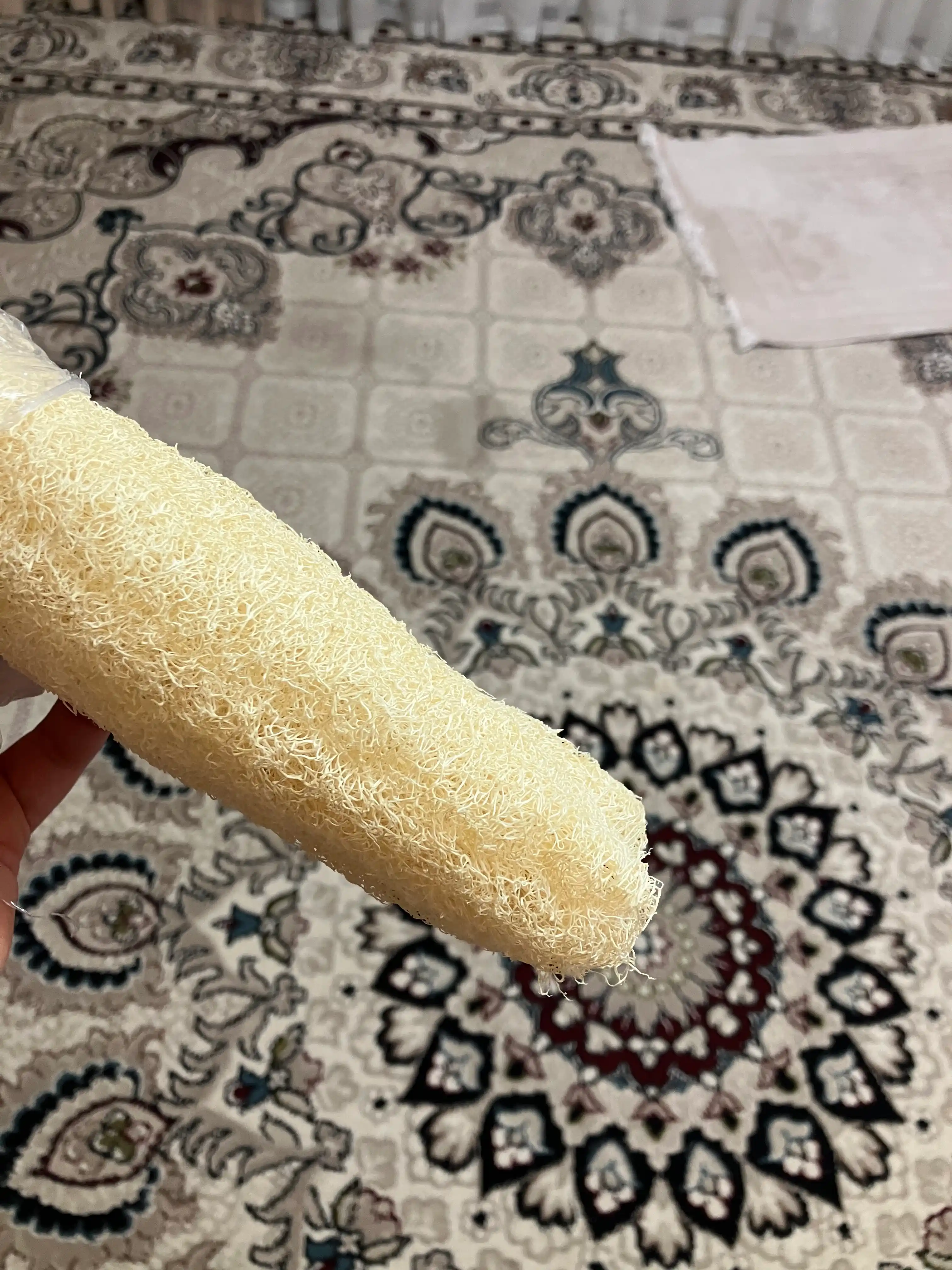 Tabiiy mochalka lyufdan (Luffa)