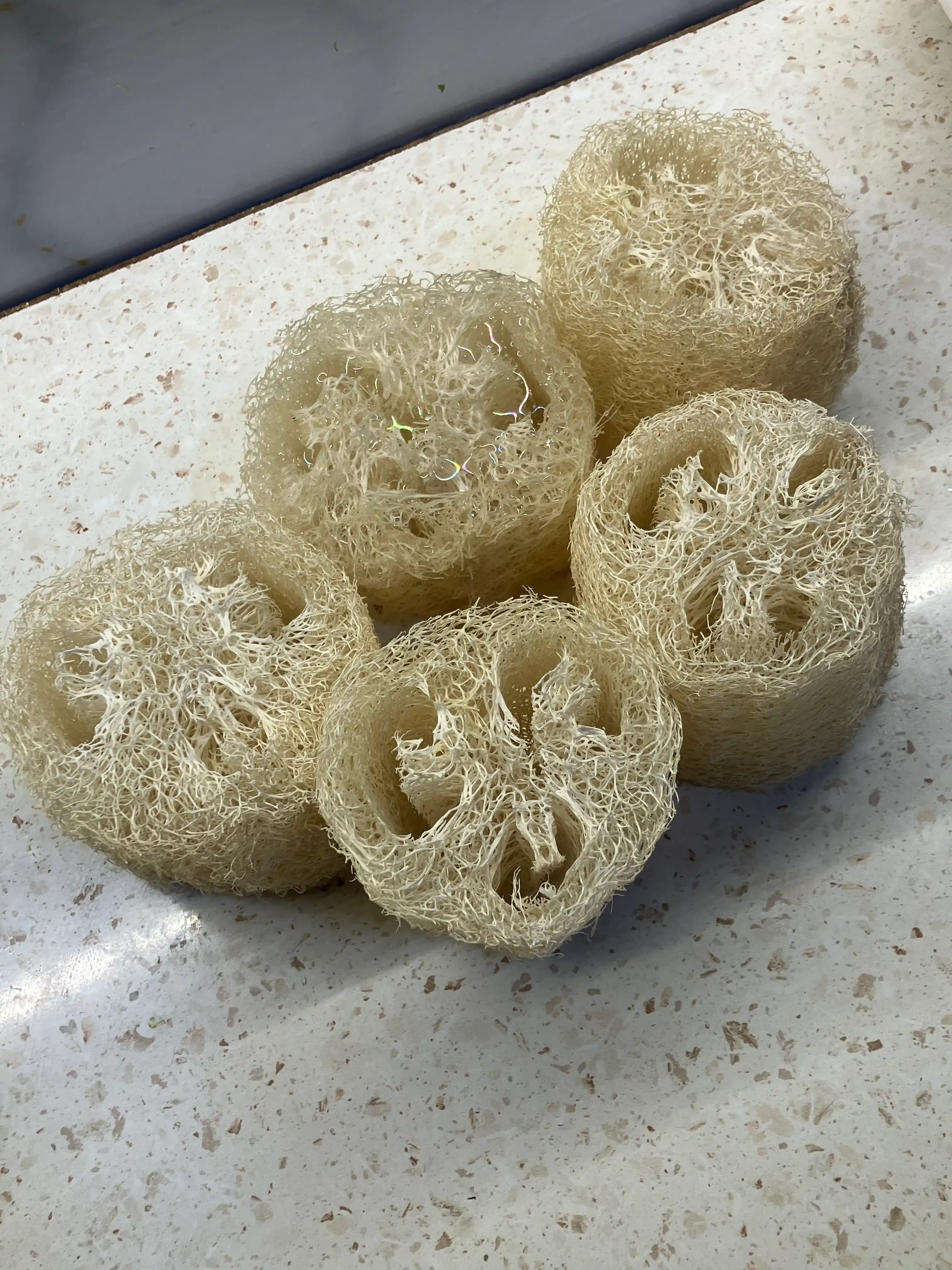 Tabiiy mochalka lyufdan (Luffa)