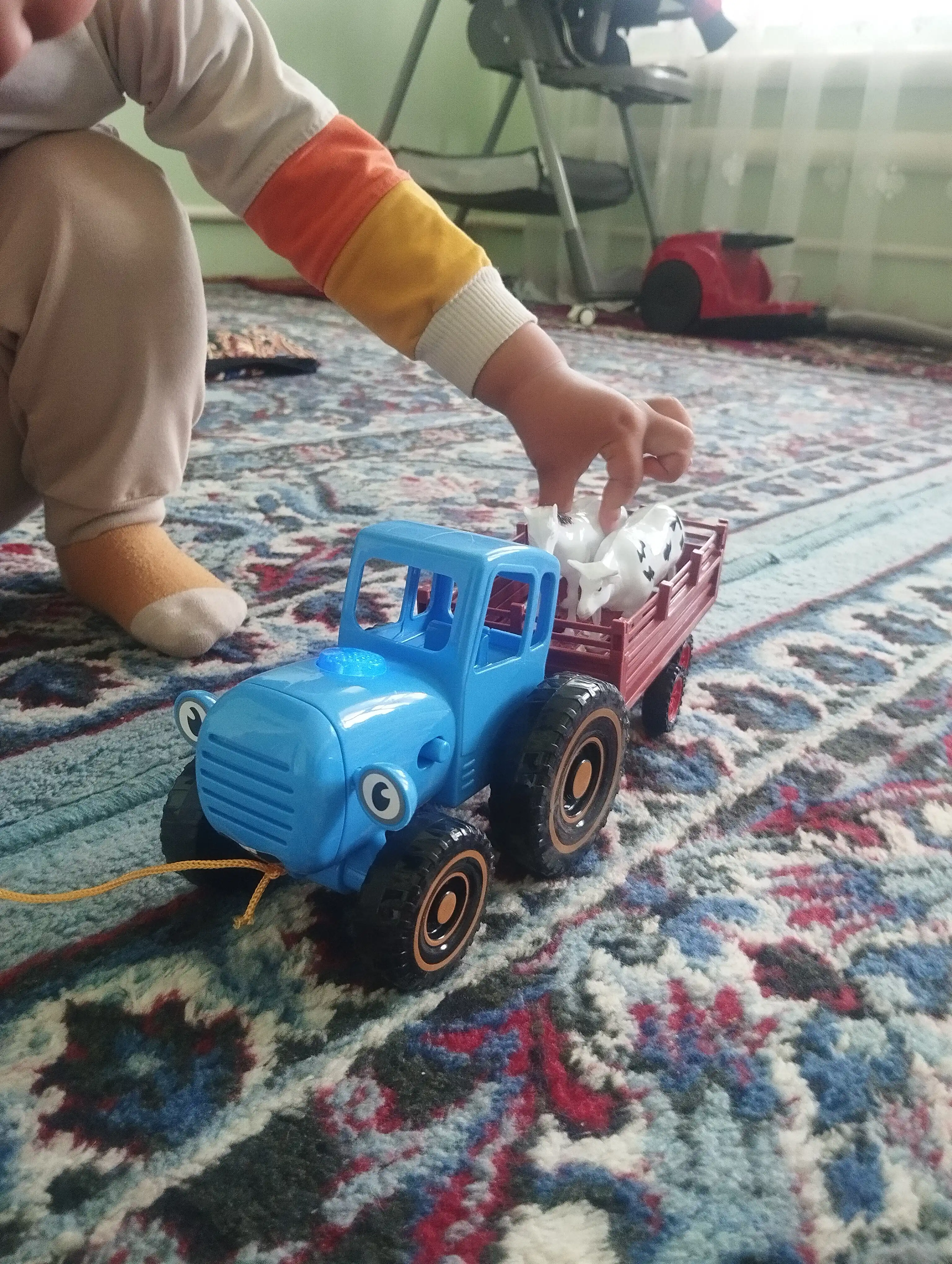 Musiqali traktor – tirkama va sigir bilan