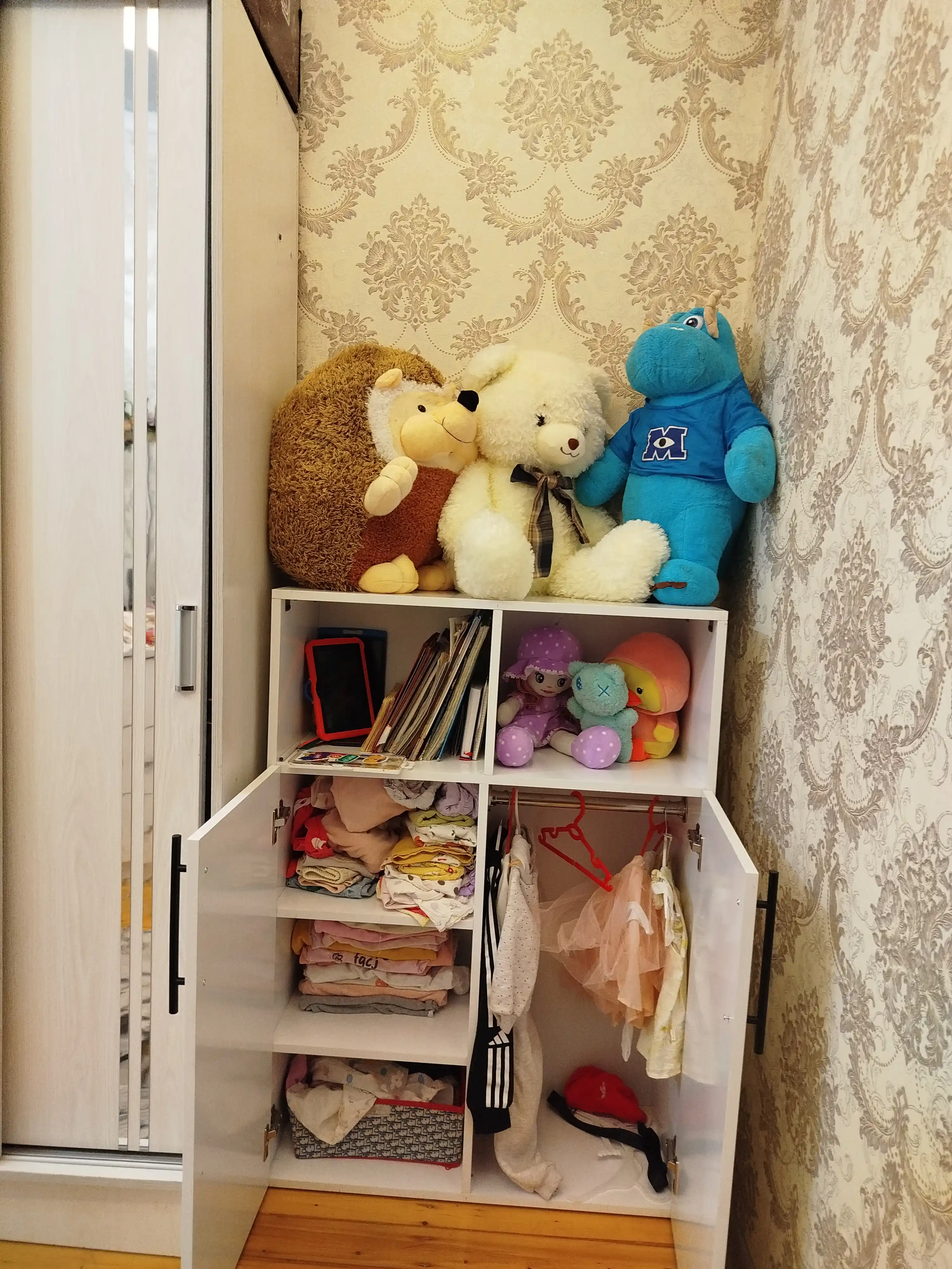 Детский шкаф стеллаж для одежды дверной