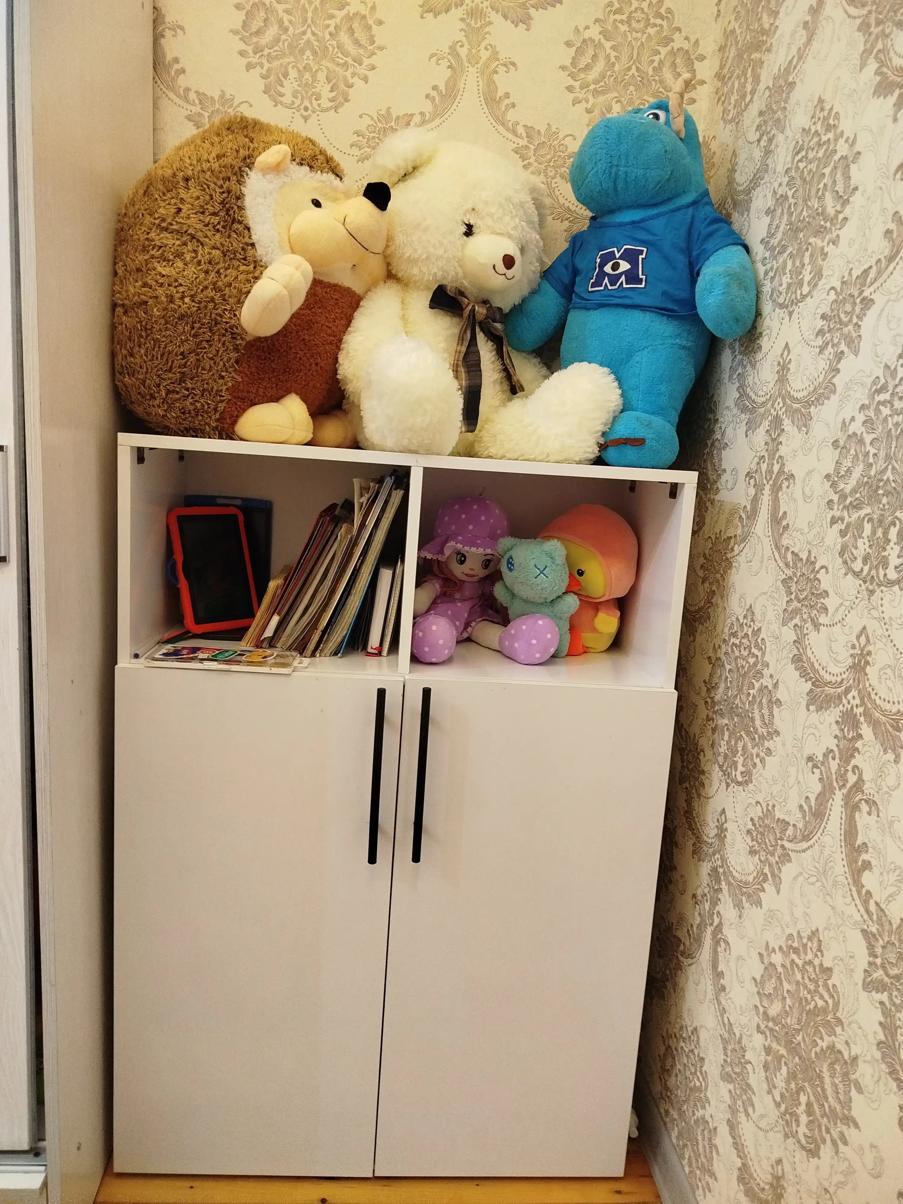 Детский шкаф стеллаж для одежды дверной