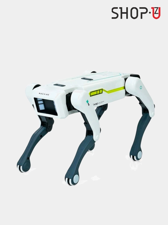 Radio-boshqariladigan interaktiv aqlli robot - 