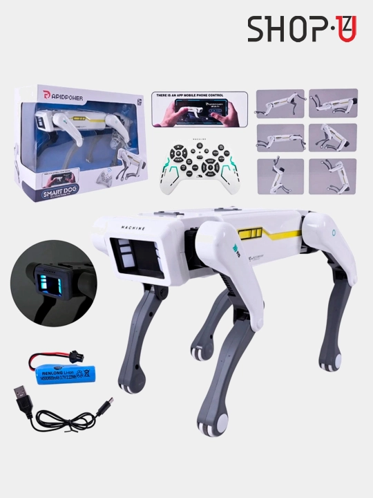 Radio-boshqariladigan interaktiv aqlli robot