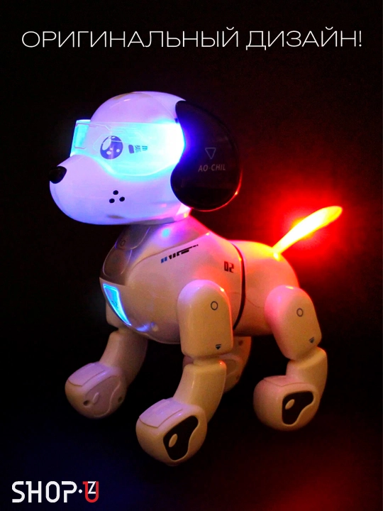 Radio-boshqariladigan interaktiv aqlli robot
