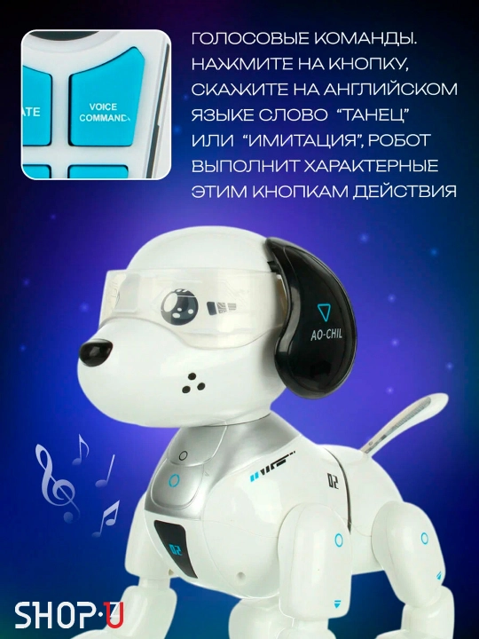 Radio-boshqariladigan interaktiv aqlli robot