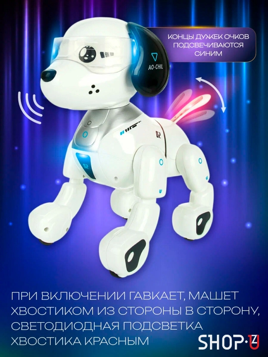 Radio-boshqariladigan interaktiv aqlli robot