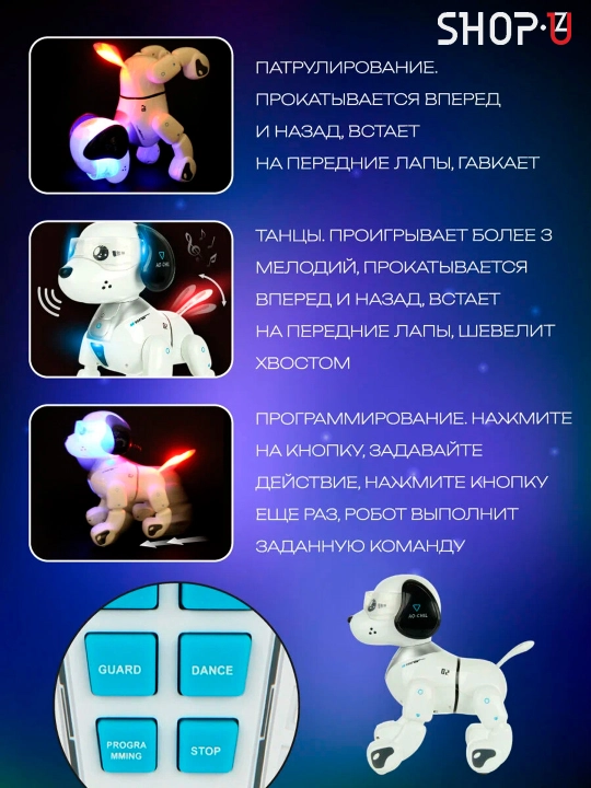 Radio-boshqariladigan interaktiv aqlli robot