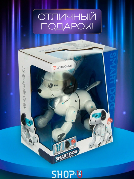 Radio-boshqariladigan interaktiv aqlli robot