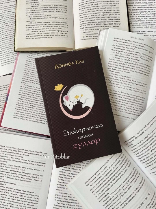 Книга Дэниел Киз Элжернонга аталган гуллар, Роман, Фантастика, Психологик драма