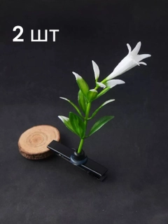 Белый