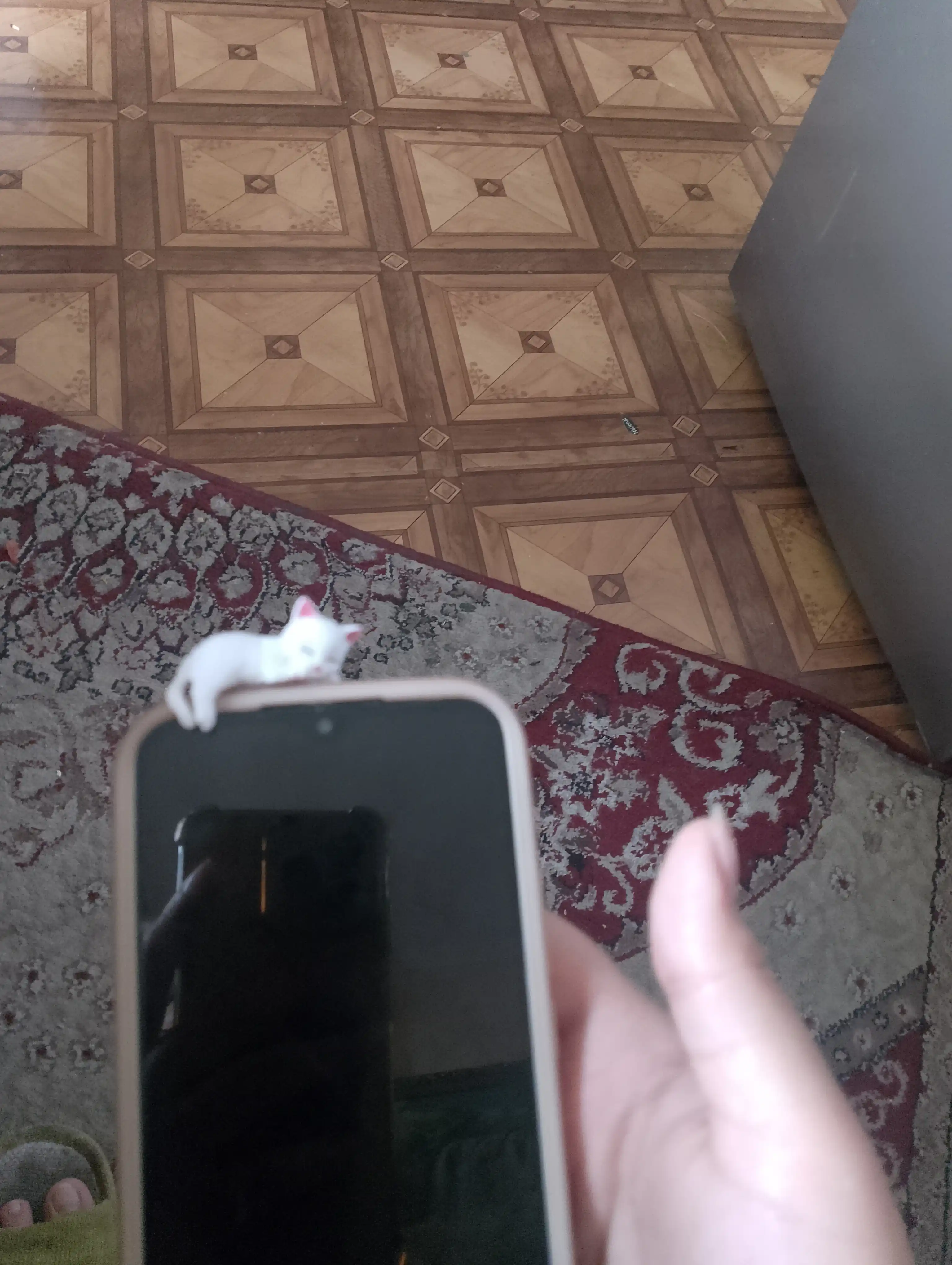 Lipuchkali Mushukcha mini figurka surpriz