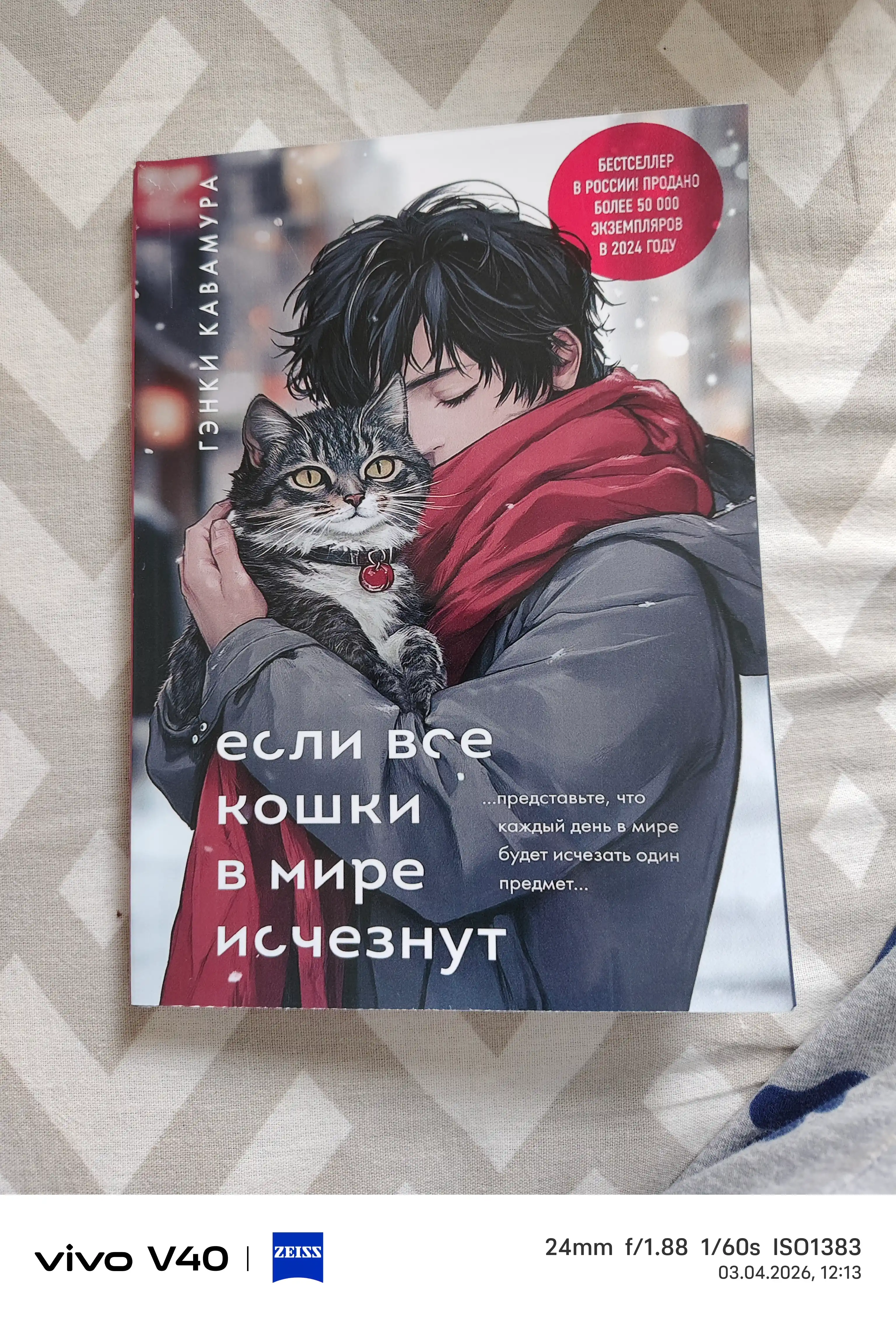 Если все кошки в мире исчезнут, Гэнки Кавамура