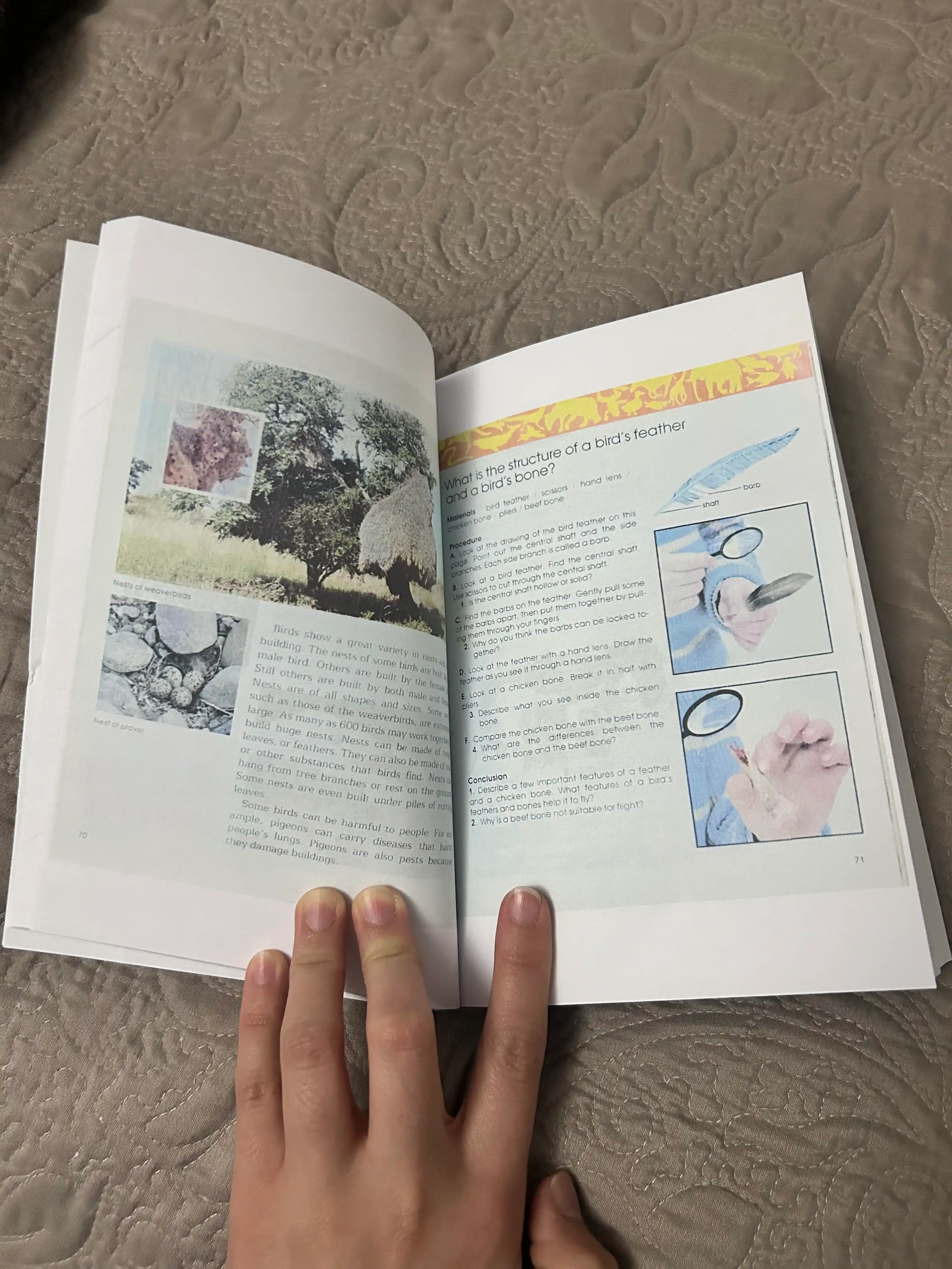 Silver Burdett Science (Grade 1–6) IELTS READING