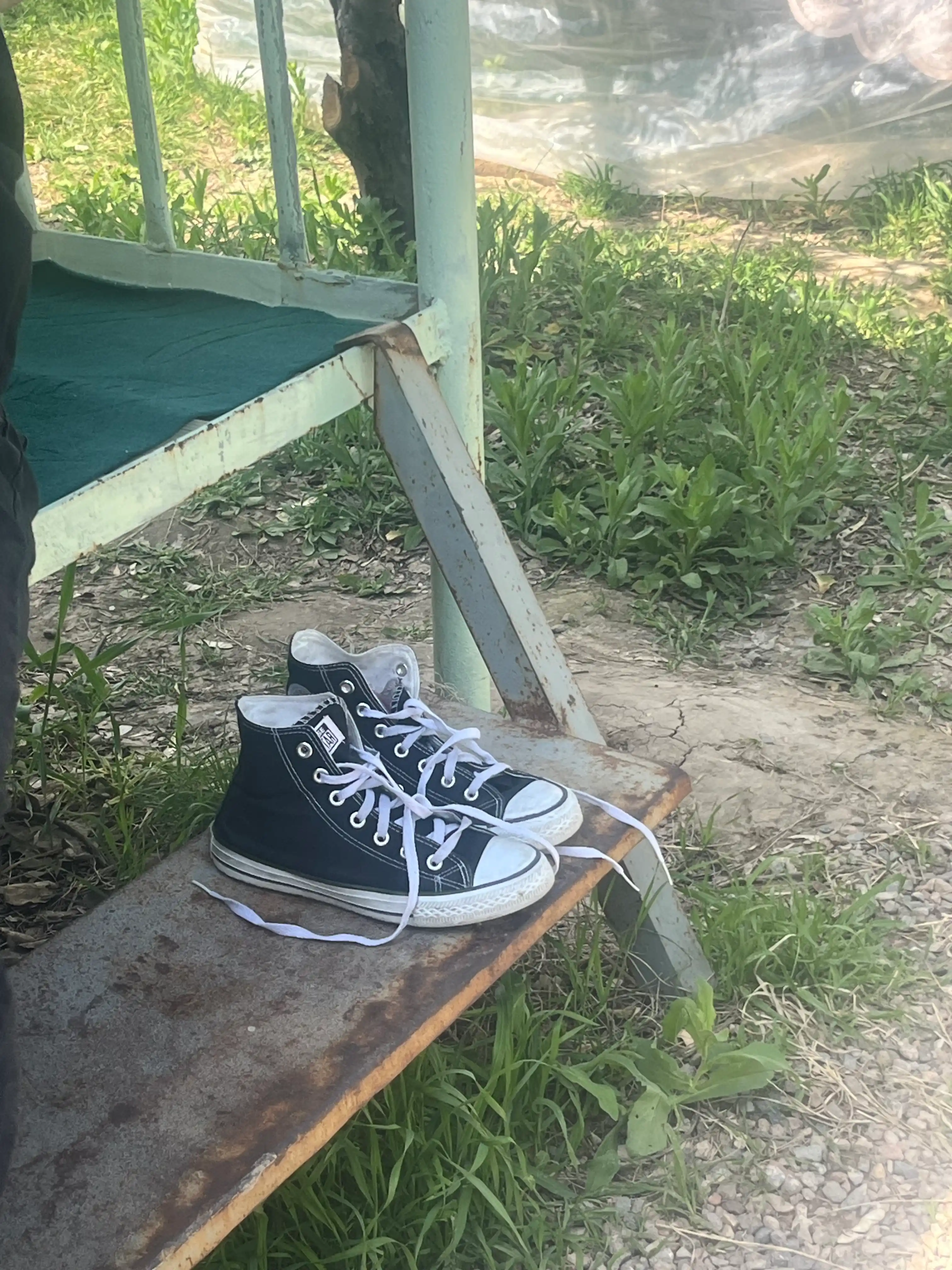 Kedalar Converse sport, yoz-kuz-bahor mavsumi uchun