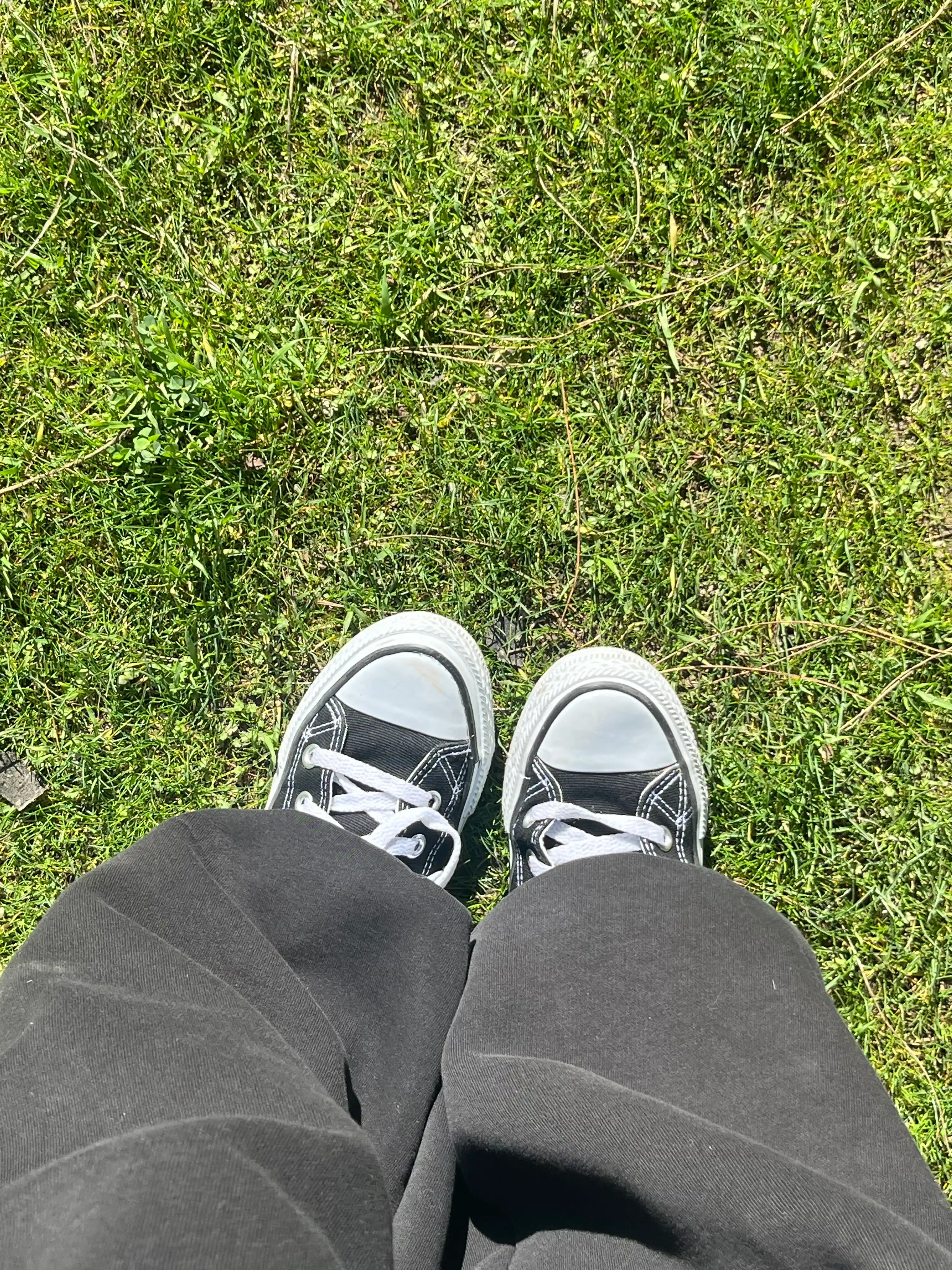 Kedalar Converse sport, yoz-kuz-bahor mavsumi uchun