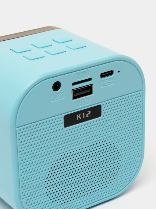 Karaoke uchun 2 ta mikrofonli portativ Bluetooth kolonka