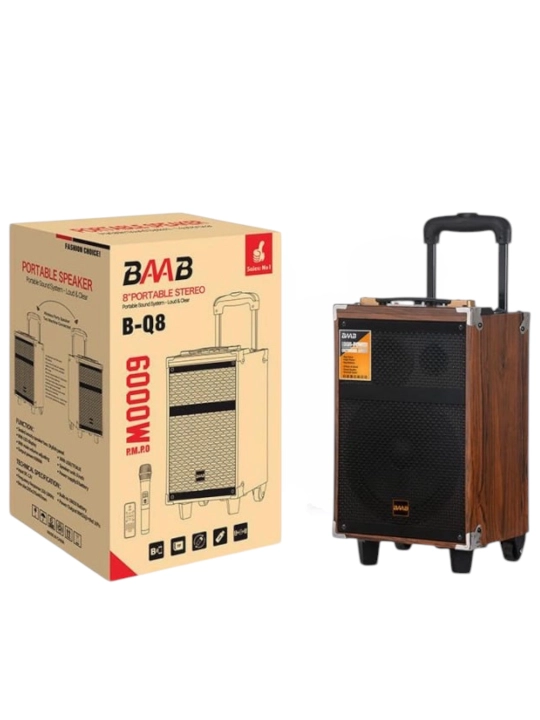 BQ8 Portativ Karaoke Kolonka Bluetooth, FM Radio, Mikrofon va Pult bilan - 