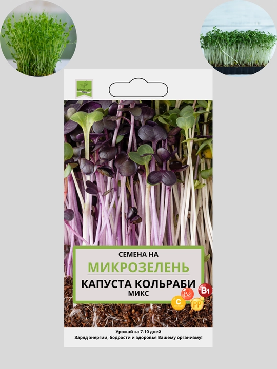Семена микрозелени базилик, свекла, руккола, редис, брокколи, капуста, кольраби - 