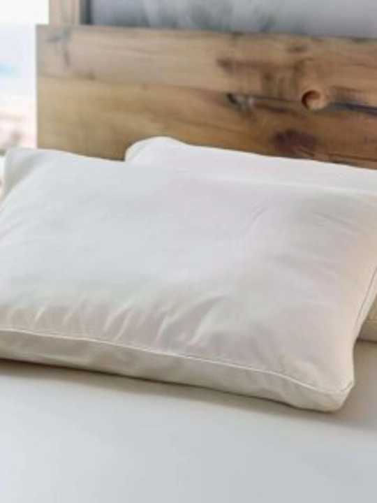 Yostiq lateks/junli Organic 50×70 SLEEP&BEYOND
