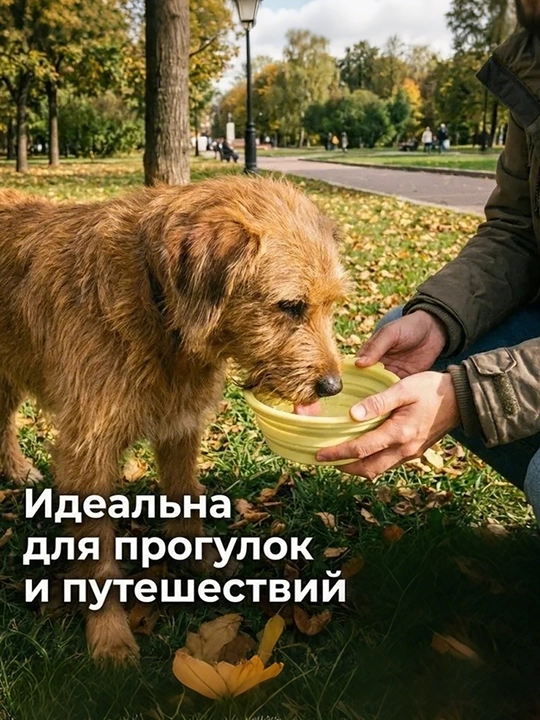 Складная силиконовая миска для собак, еда и вода, для прогулок