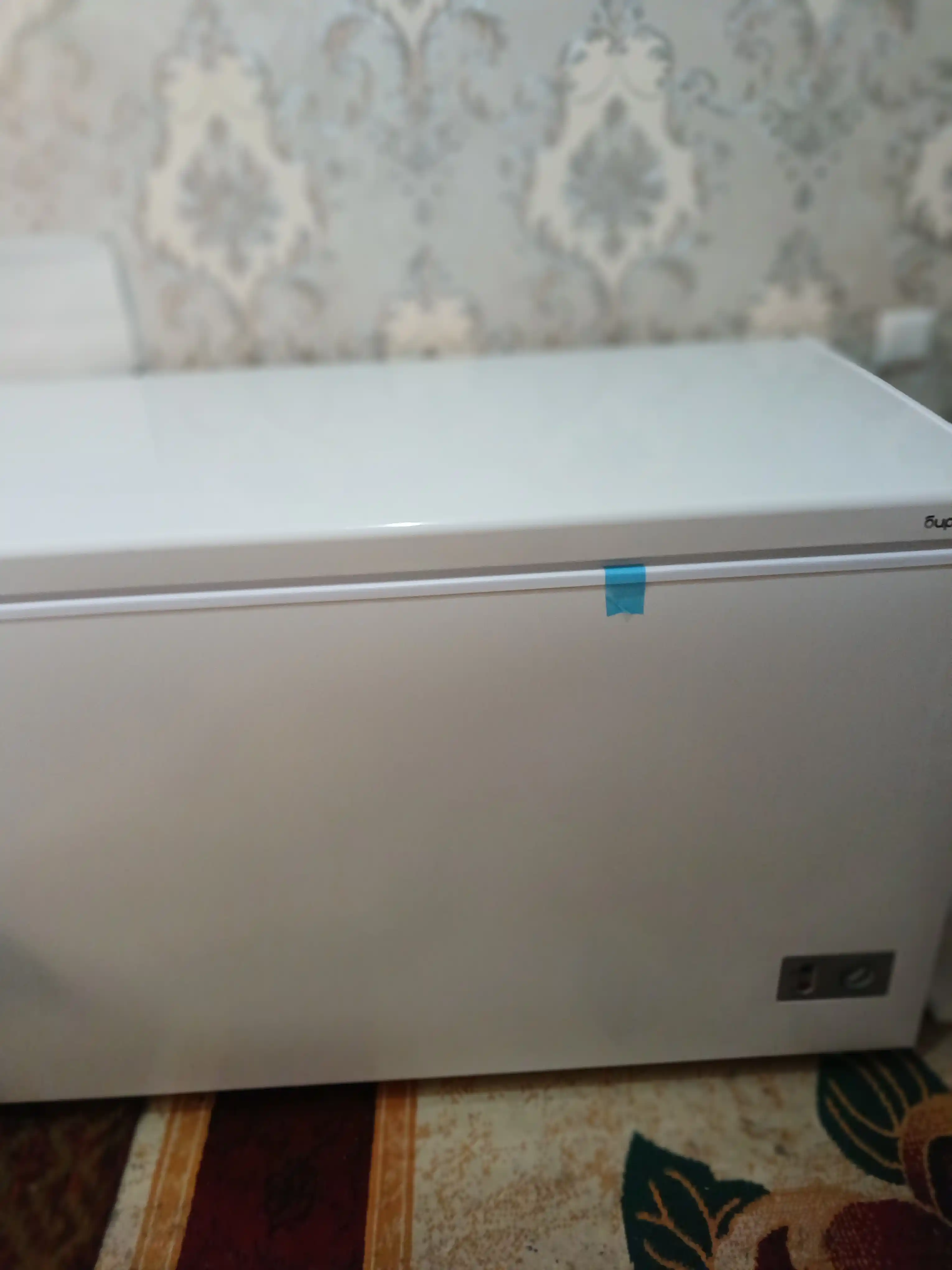 Katta sig'imli gorizontal muzlatgich Biryusa 355KVS, hajmi 330 l, invertor kompressor