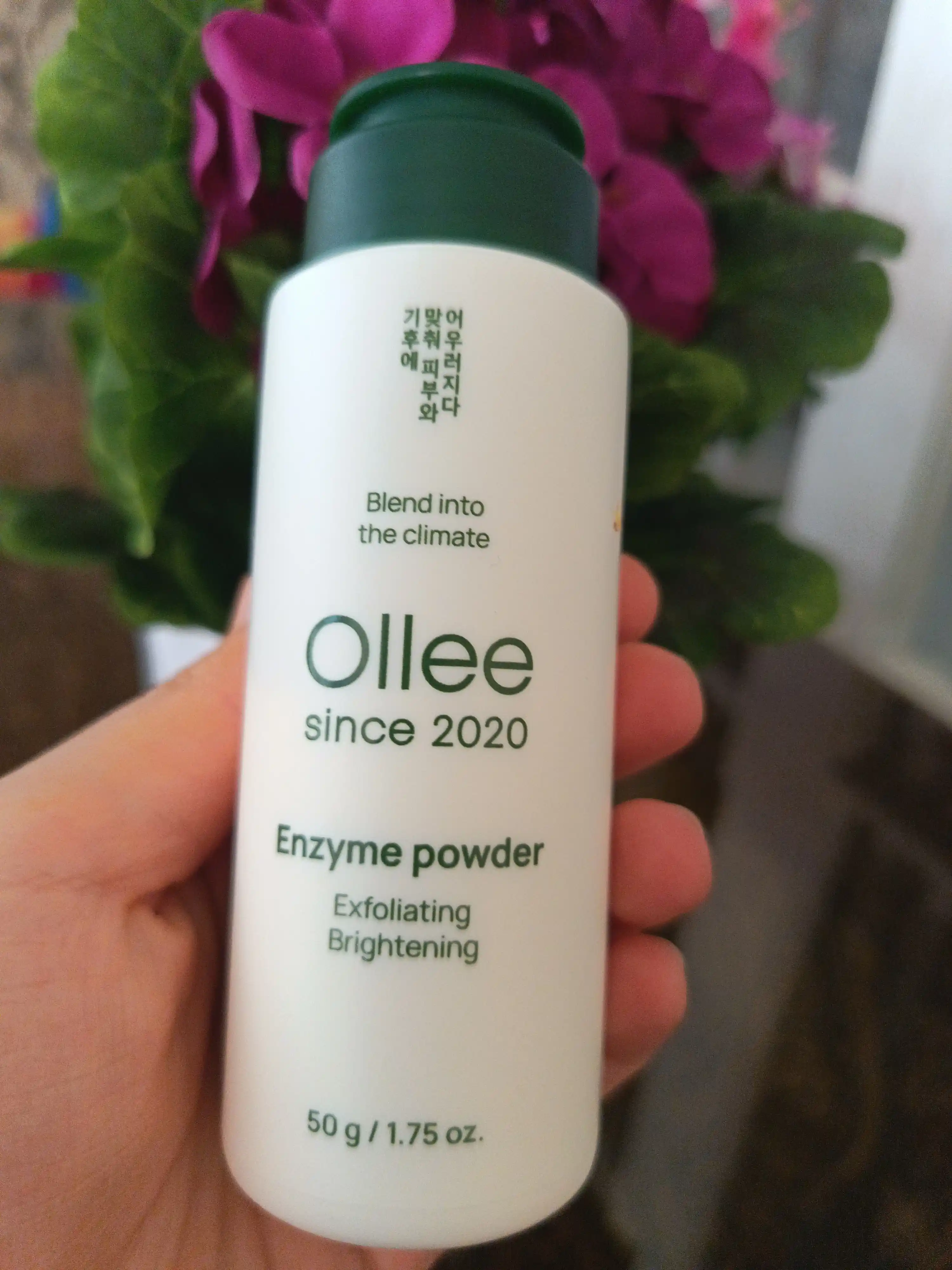 Энзимная пудра OLLEE для лица Enzyme Powder, корейская умывалка, 50 г