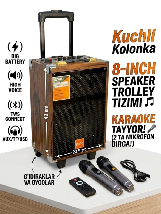 Portativ karaoke dinamiki, Profesional ovoz, 2ta simsiz mikrofon, uzoq muddatli quvvat - 