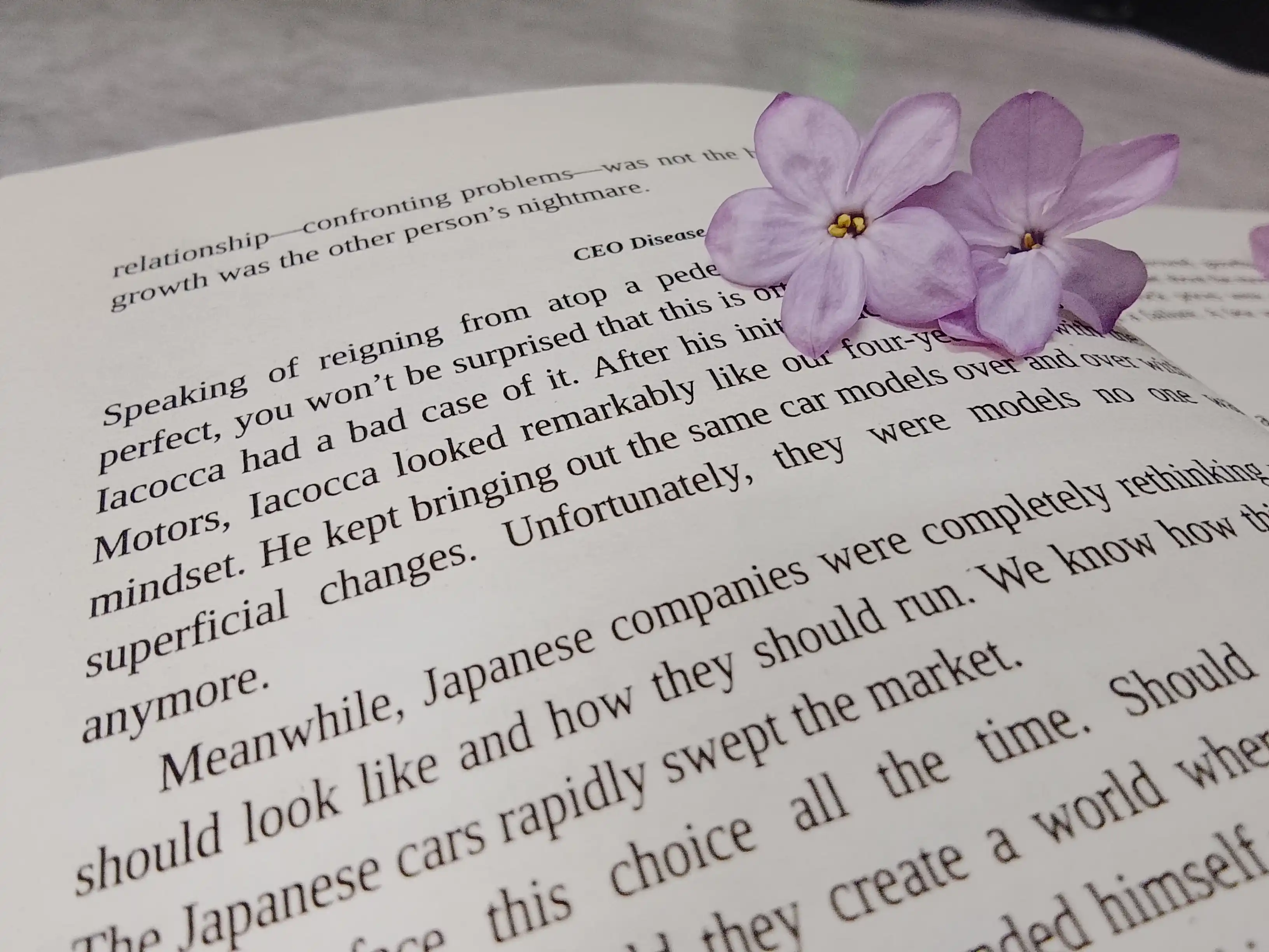 Mindset, Dr Carol S. Dweck