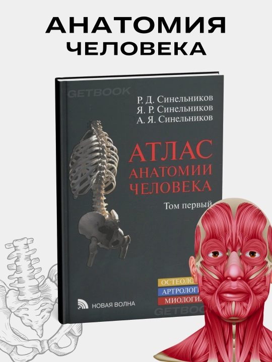 Атлас анатомии человека 1 том, Синельников, новое издание 2019 год - 
