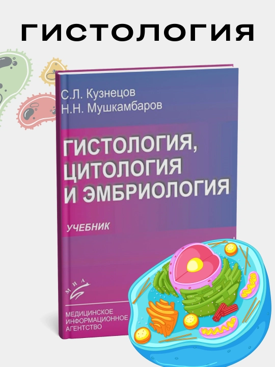 Кузнецов, Мушкамбаров: "Гистология, цитология и эмбриология", медицина - 