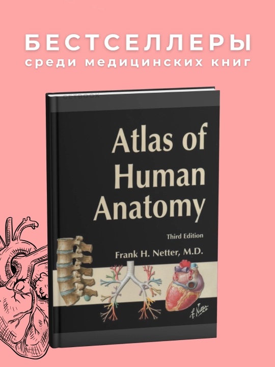 NETTER'S ATLAS OF HUMAN ANATOMY 3rd Edition. Медицина - 