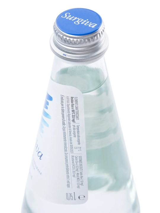 Минеральная вода Surgiva Naturale, негазированная, 0,5 л