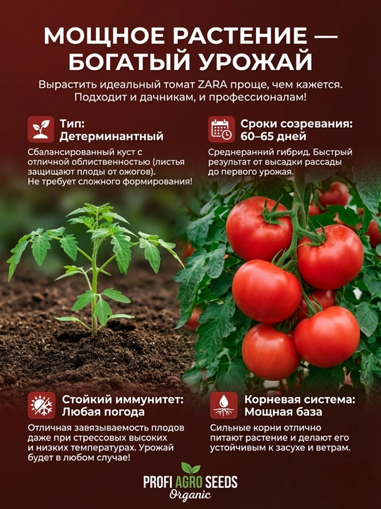 Семена томата «Султан» 10 г, раннеспелый сорт, голландская селекция, Profi Agro Seeds