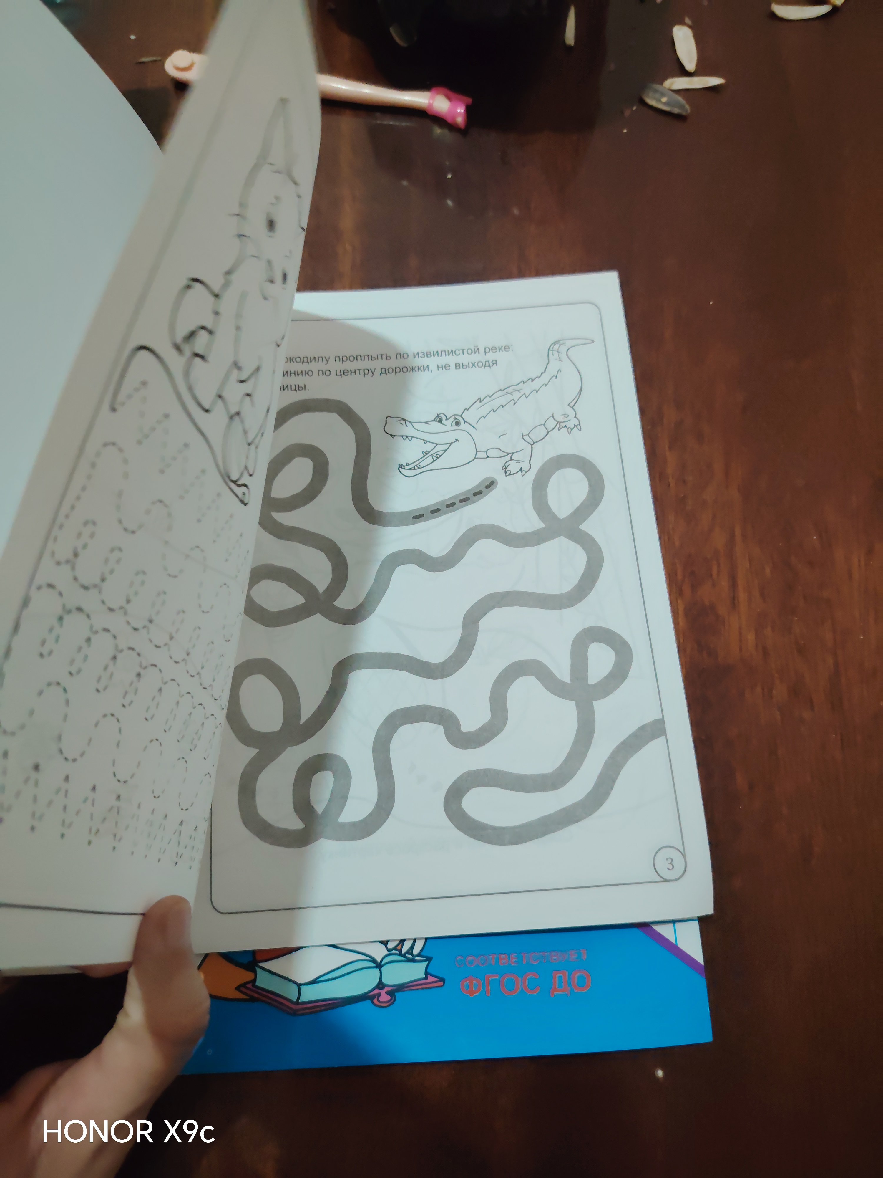 Moia rabochaia tetrad` 3-7 let Pervaia matematika, Propis` Kalligraficheskaia