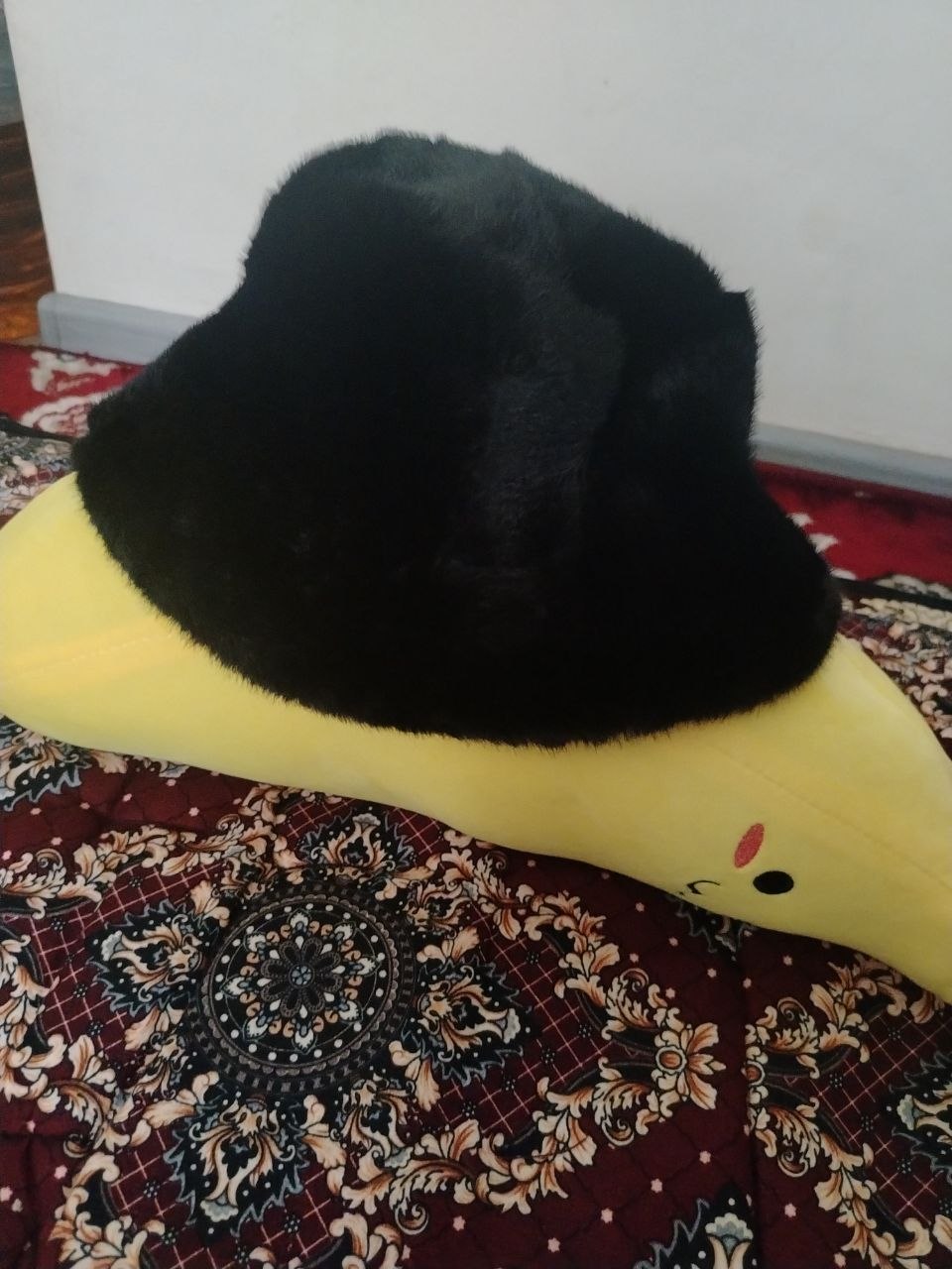 Panama issiq, moynali qora