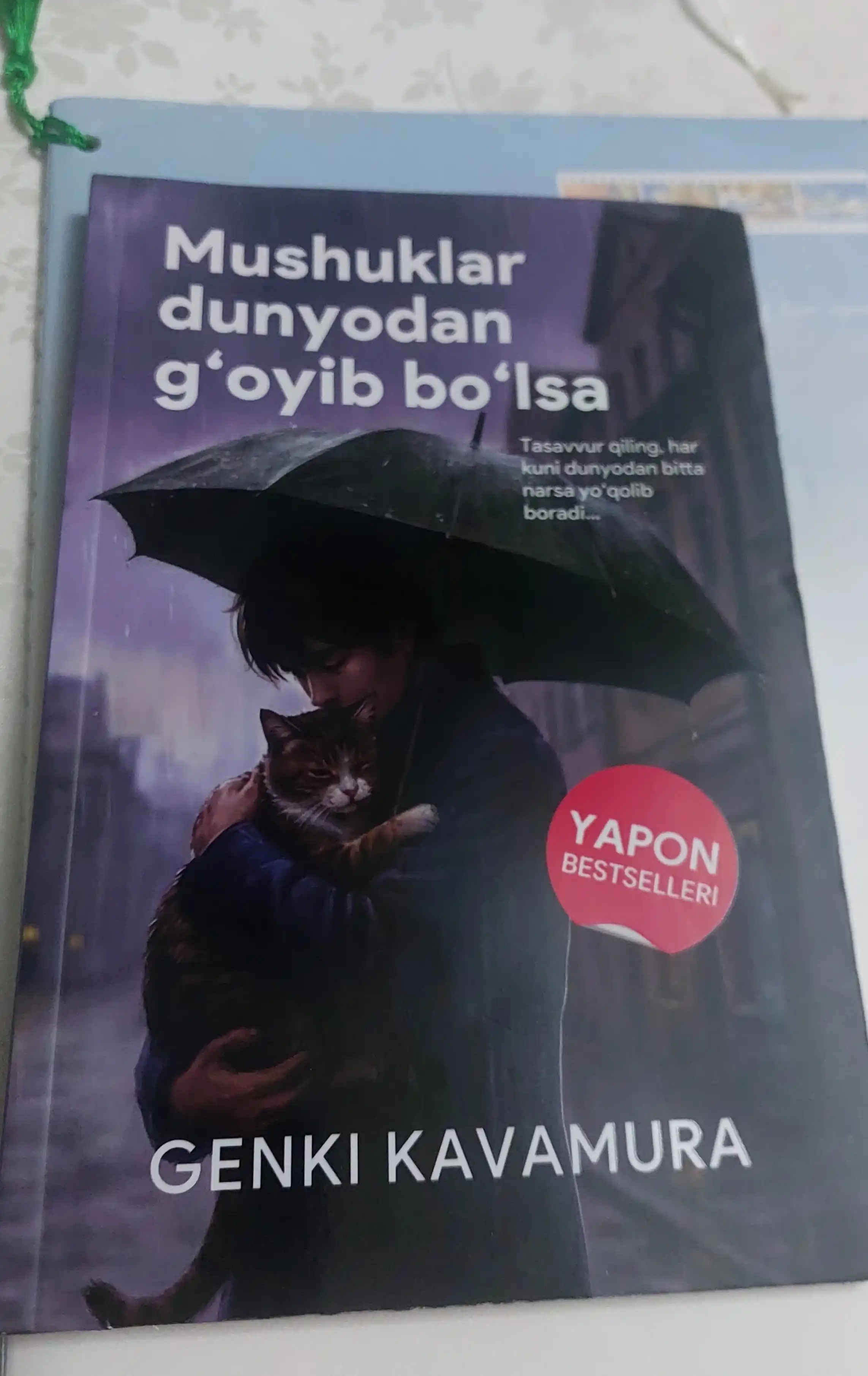 Если все кошки в мире исчезнут, Генки Кавамура