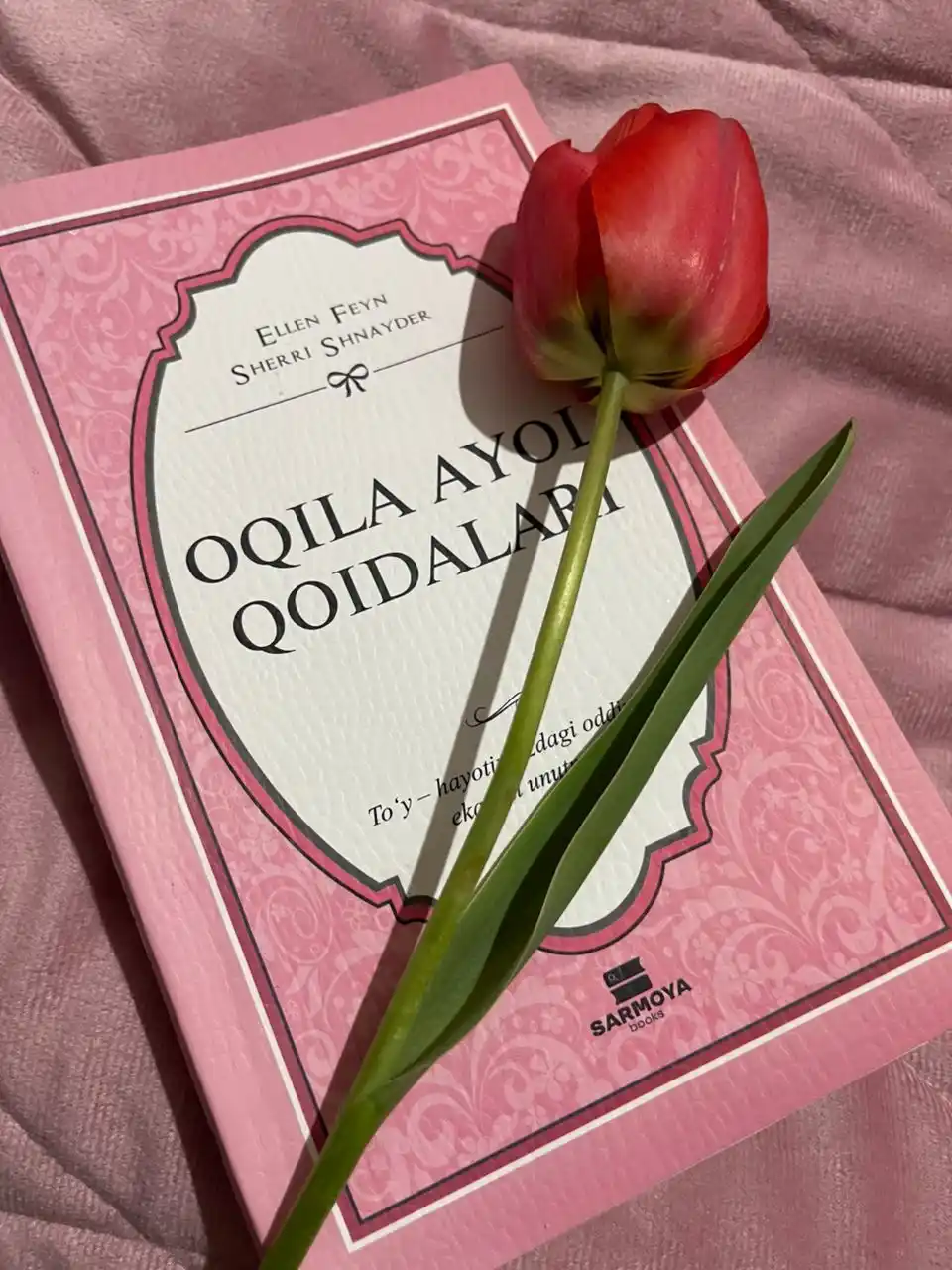 Oqila ayol qoidalari, Ellen Feyn, Sherri Shnayder