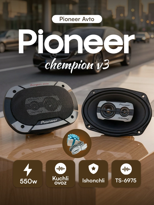 Автомобильные колонки Pioneer Champion ТS-6975 V3 - 