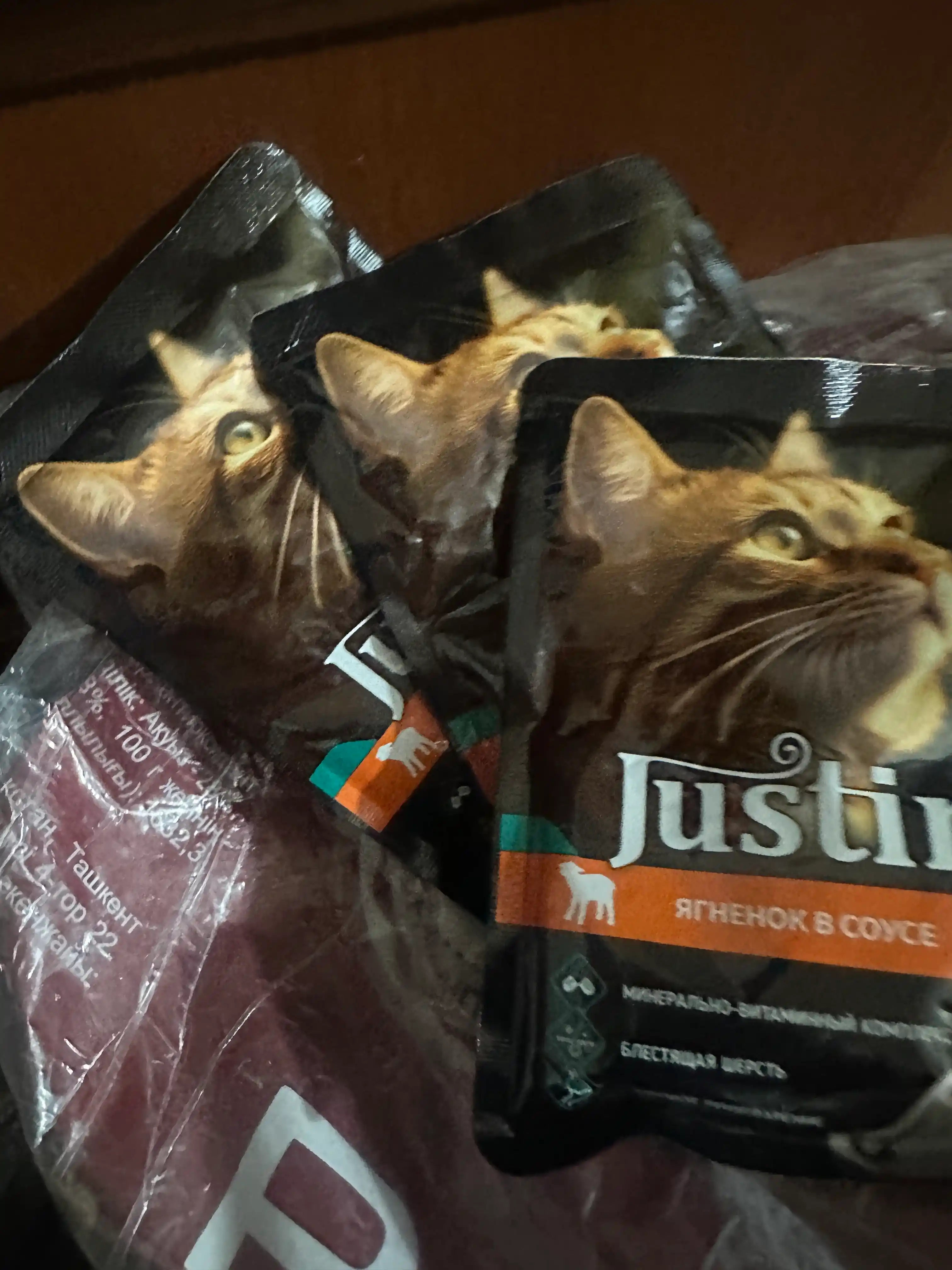 Justin mushuklar uchun nam yem qo‘zi go‘shti sousda 75 gr 5 dona